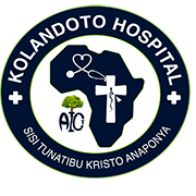 Logo Footer